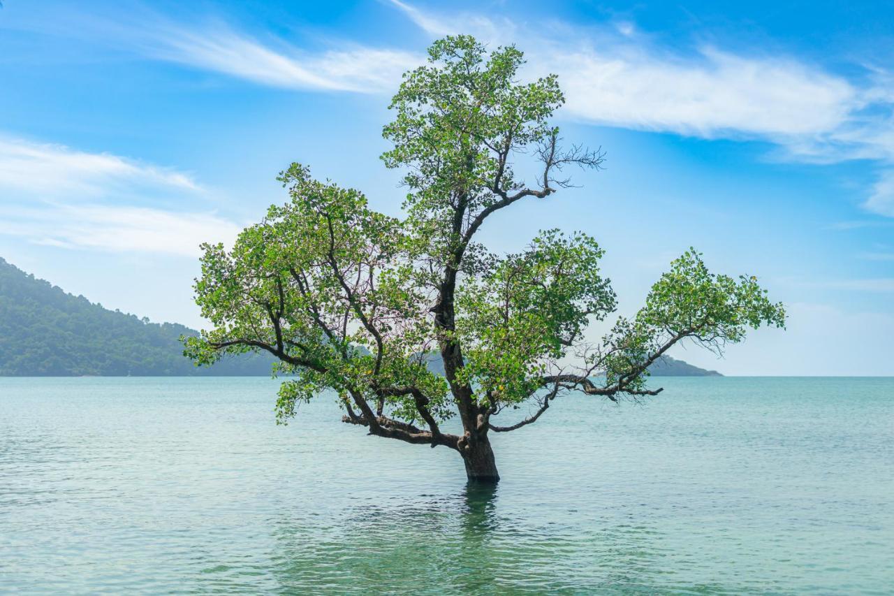 Perla Pool Villa - Koh Chang Zewnętrze zdjęcie